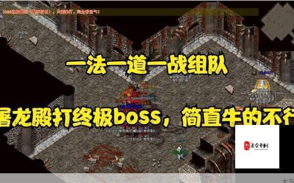 无双剑姬钢铁丛林，征服强力BOSS的终极策略